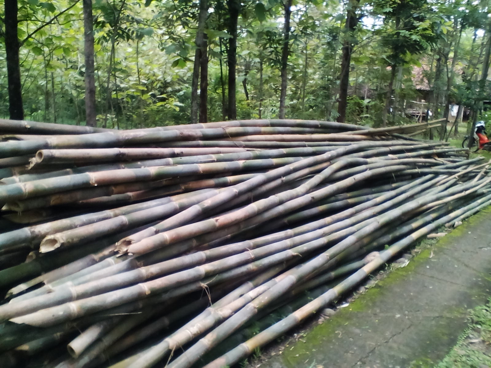 Kerajinan Dari Bambu Apus