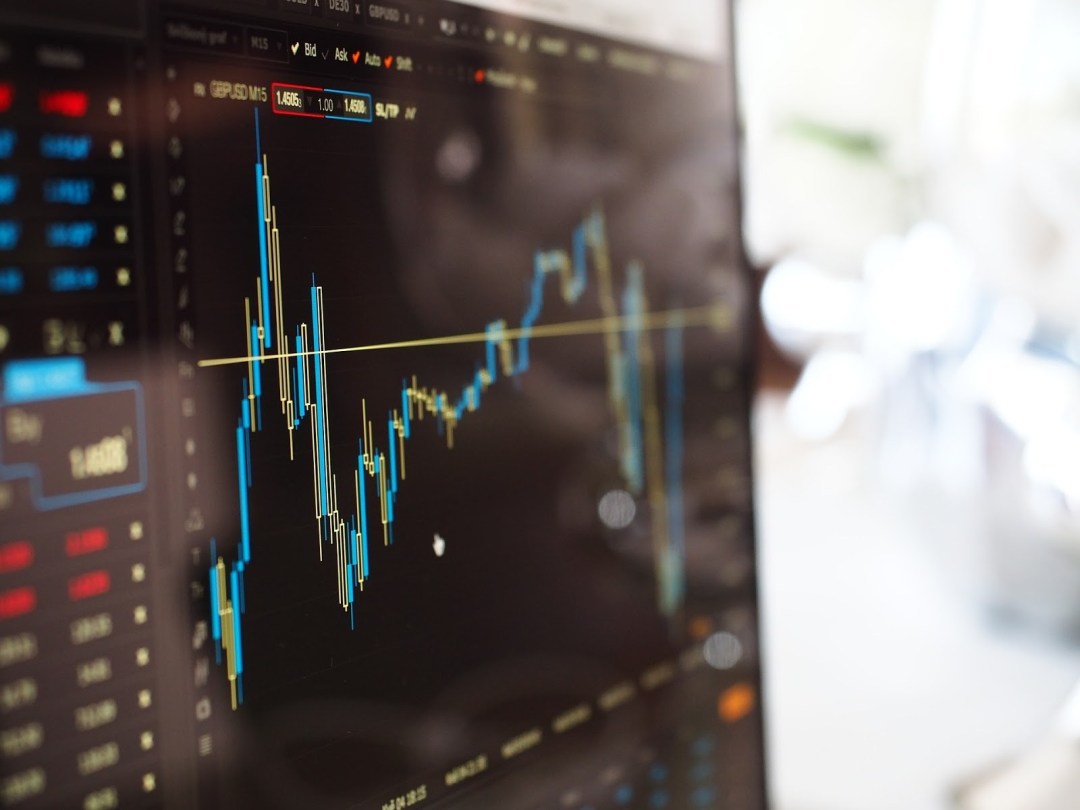 investasi yang menguntungkan untuk pemula