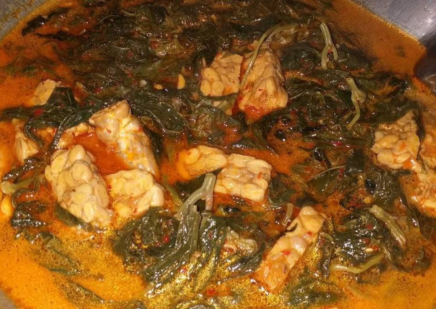 Resep Sayur Daun Singkong Dan Tempe