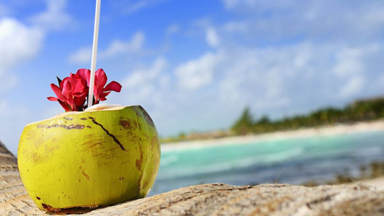 Air kelapa ijo untuk ibu hamil