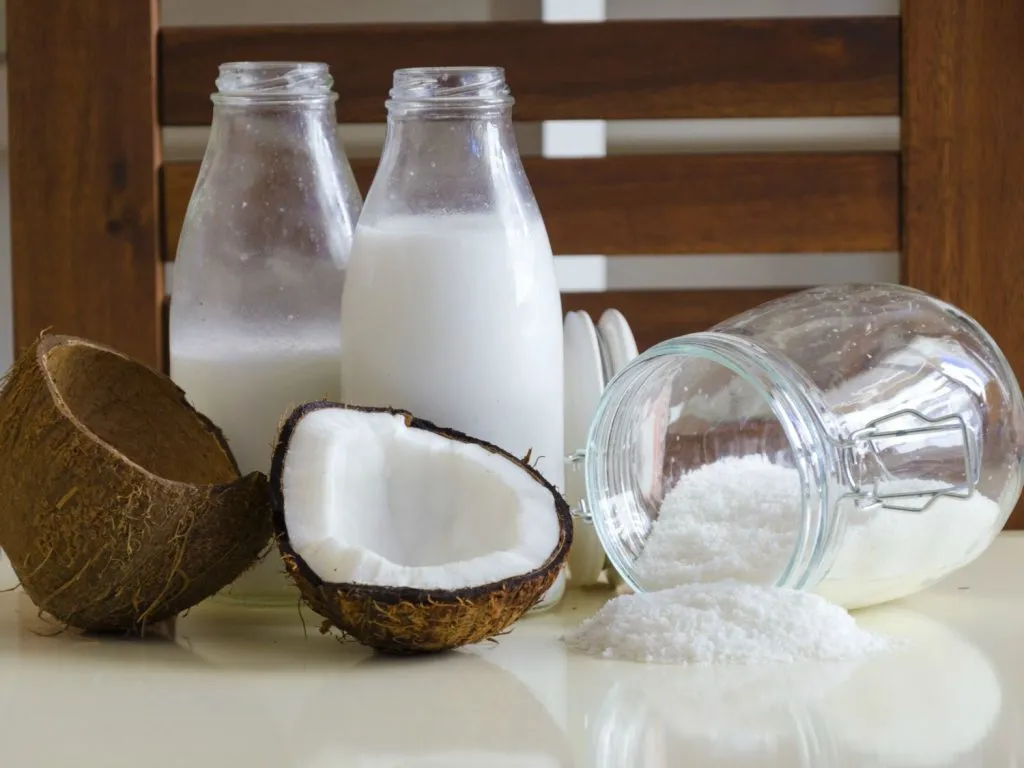 jenis kelapa yang bagus untuk santan