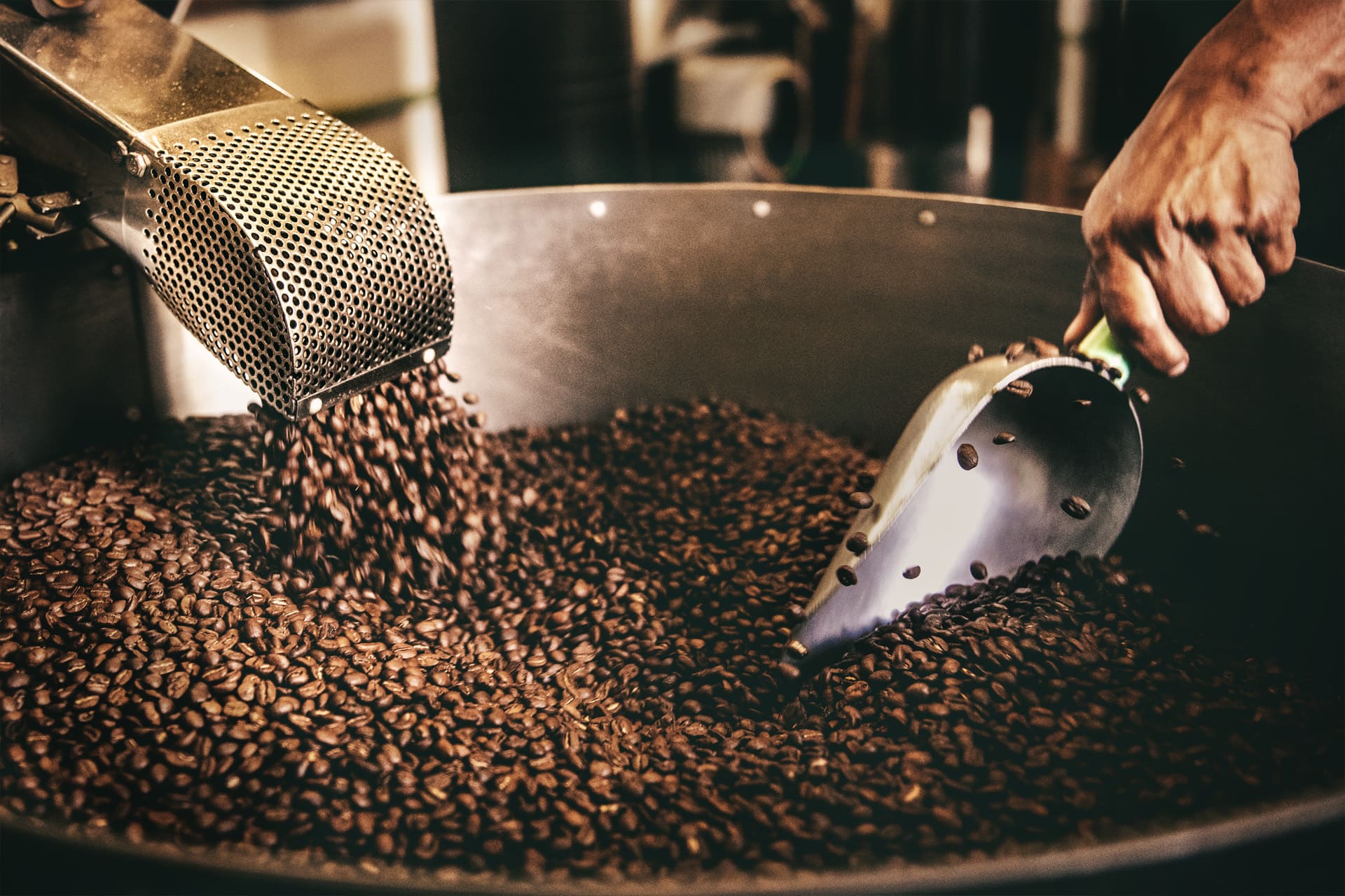 Peluang Bisnis Roasting Kopi Premium