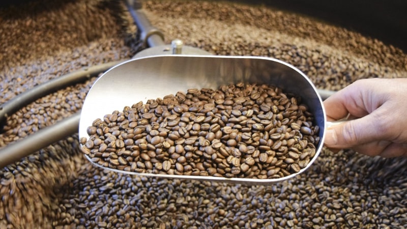 Peluang Bisnis Roasting Kopi Premium