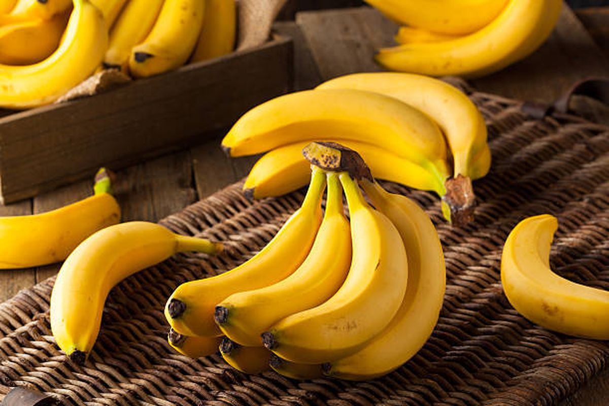 cara memanen buah pisang