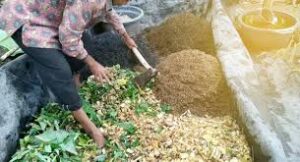 Mengolah Limbah Batang Pisang Menjadi Kompos Organik