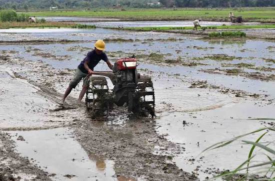 jenis jenis hand traktor untuk lahan pertanian
