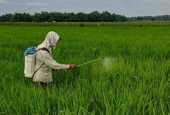 Cara merawat hand sprayer elektrik agar tidak mudah rusak