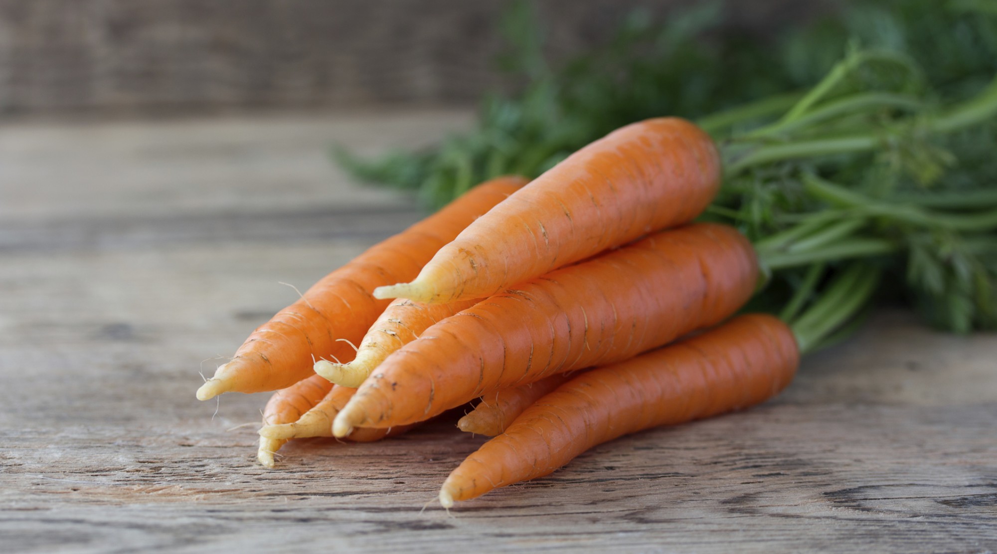 Resep keripik wortel sederhana