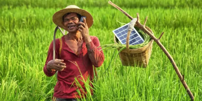 usaha online di desa