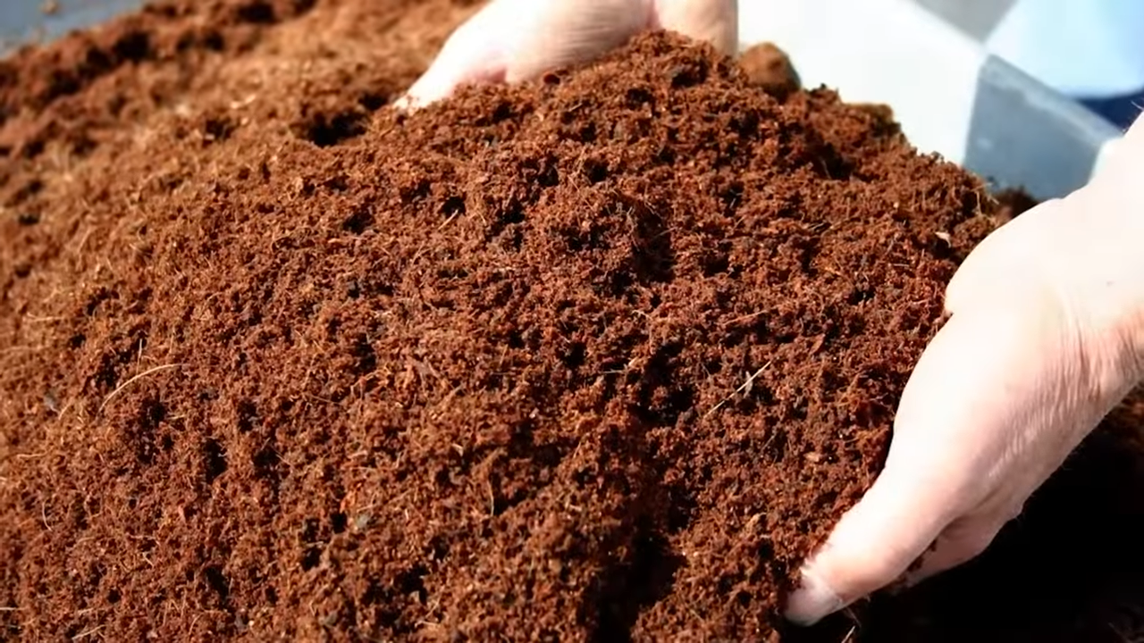 cocofiber sebagai subtitusi tanah
