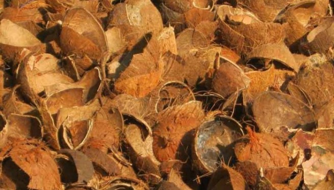 bisnis batok kelapa