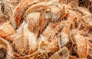 Coconut Fiber Beds