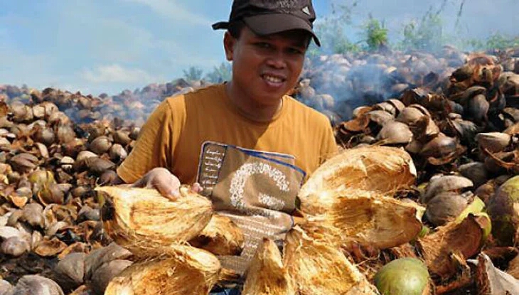 budidaya tanaman dengan sabut kelapa