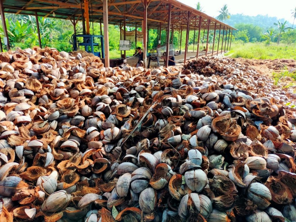 Commercial Potential of Coconut Fiber