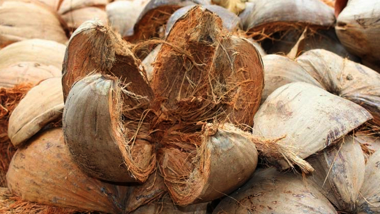 Coconut Coir Benefits