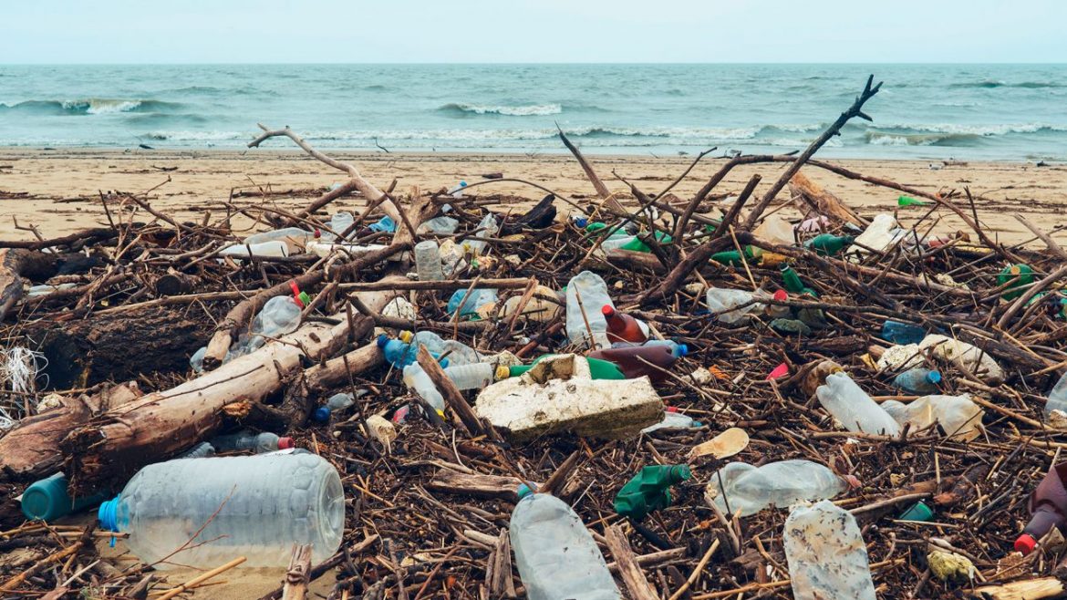 Berapa Lama Botol Plastik Terurai