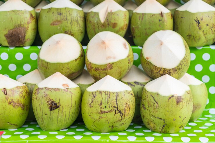 bisnis kelapa
