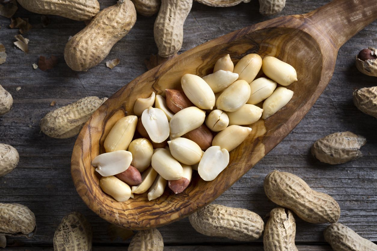 Olahan Makanan Berbahan Kacang Tanah Berkualitas