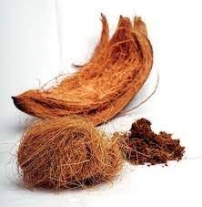 قوالب الوقود من ألياف جوز الهند