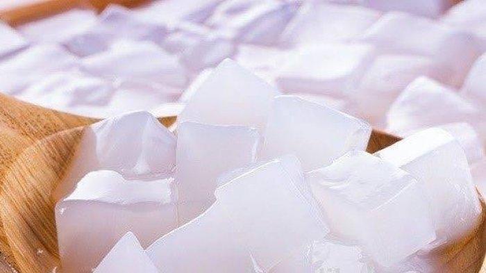 peluang bisnis ekspor nata de coco