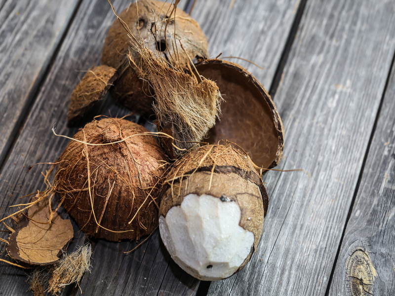 Usaha parut kelapa mini