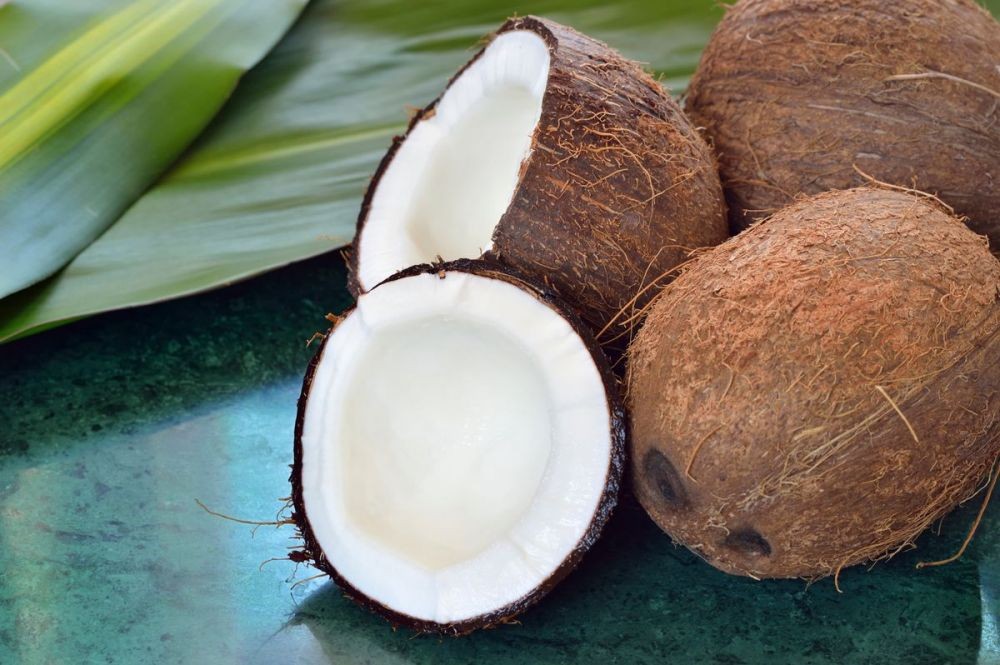 ide usaha dari kelapa