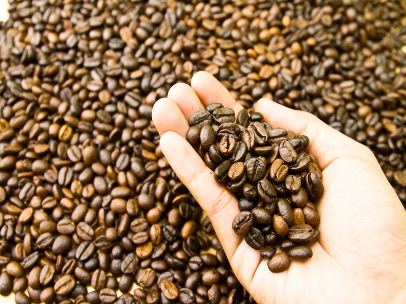 solusi praktis produksi kopi bubuk