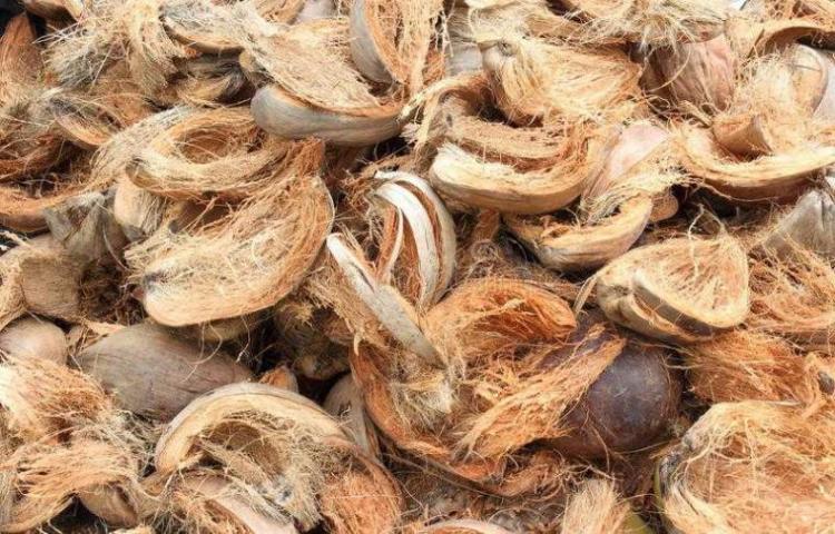 Pemanfaatan limbah sabut kelapa untuk kerajinan