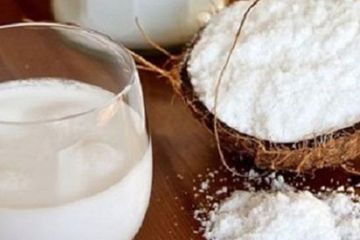 alat pemarut kelapa untuk usaha rumahan