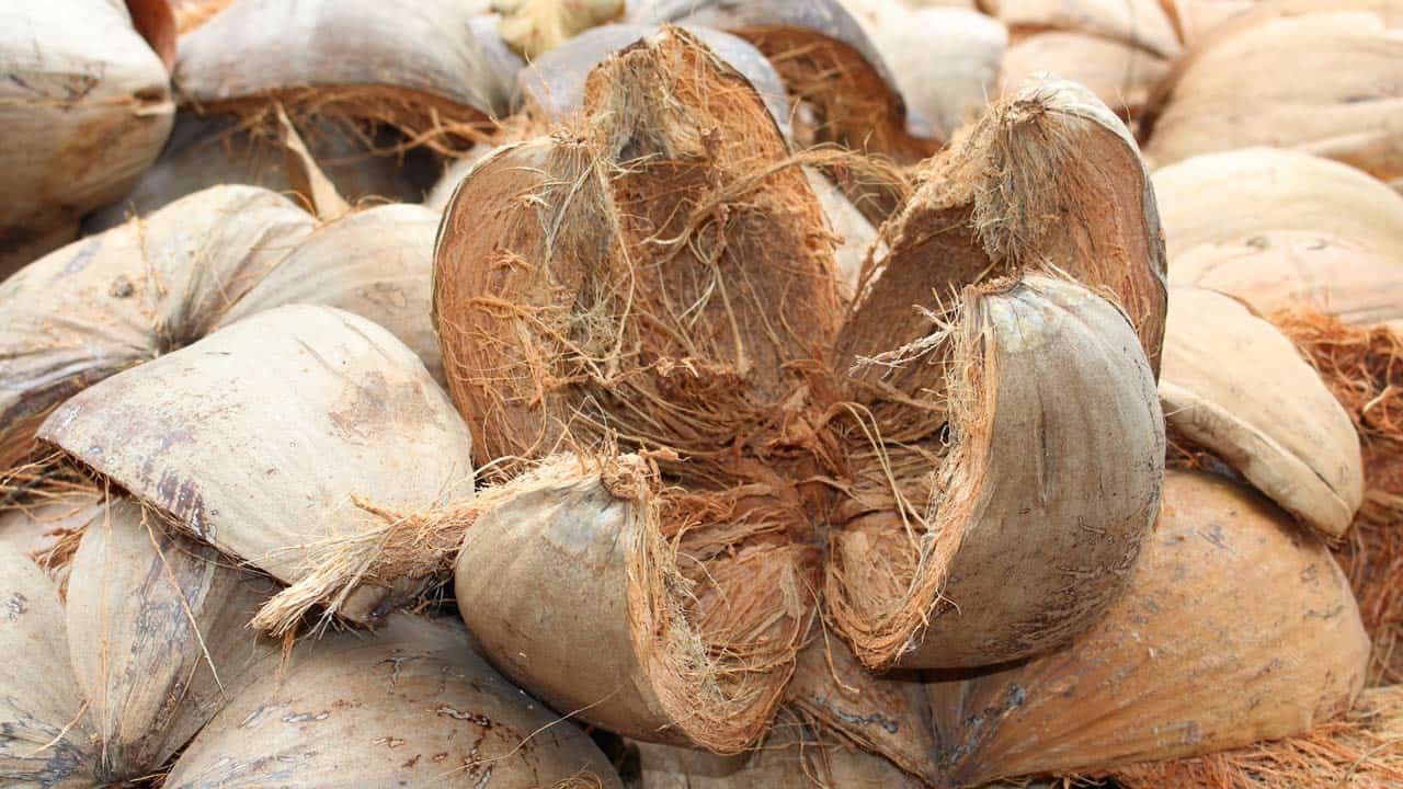 Pemberdayaan masyarakat lewat sabut kelapa kreatif