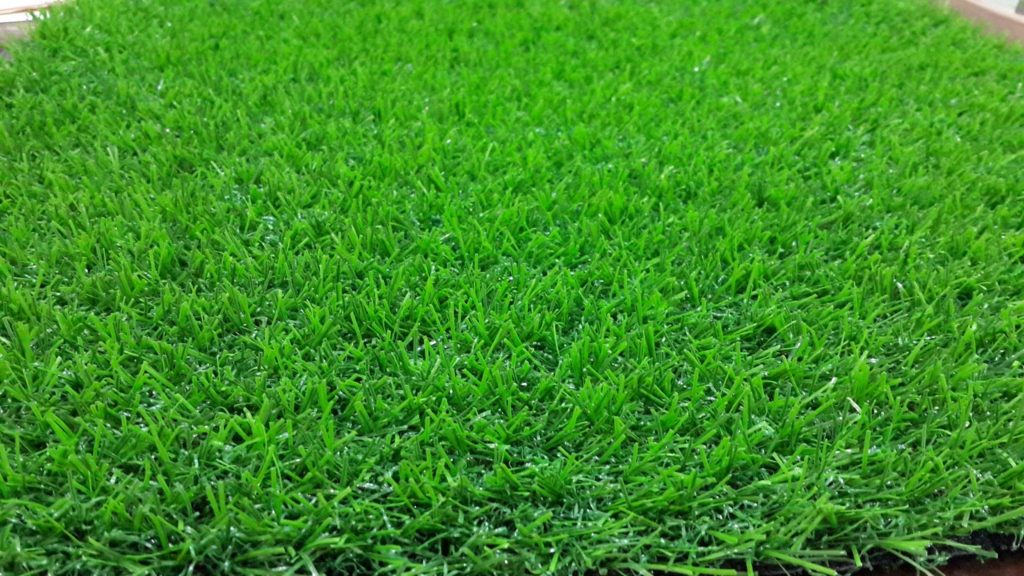 rumput panen cepat rutin