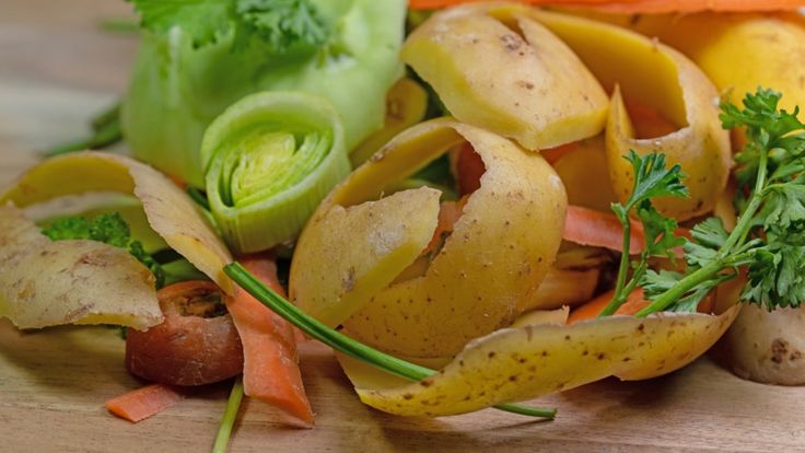 pupuk alami dari sisa sayur dan buah