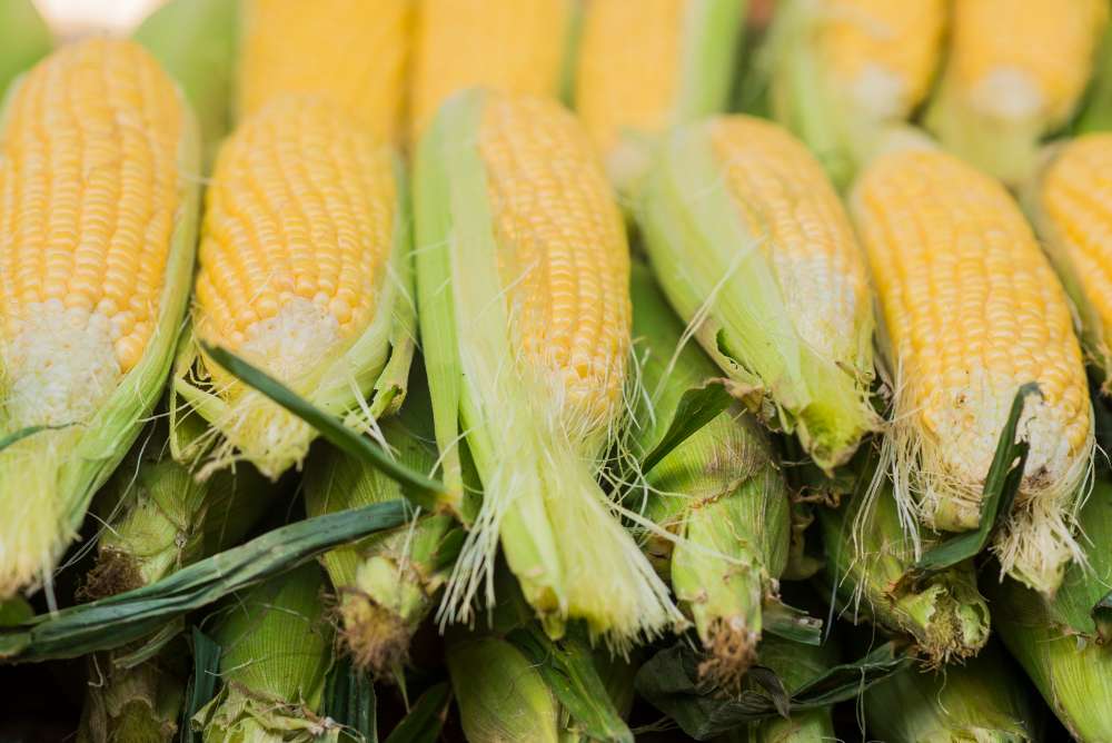 Inovasi Alat Pemipil Jagung