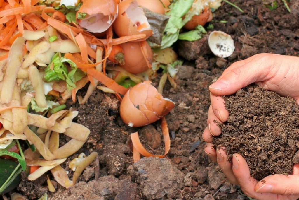 Cara Mencacah Sampah Organik Cepat Praktis Efisien