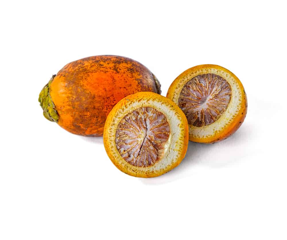 Alat Pembelah Buah Pinang Sederhana
