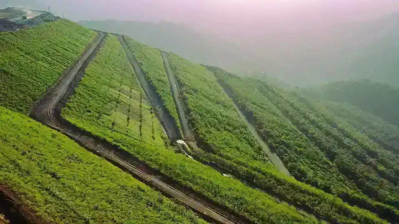 Suksesi vegetasi alami lahan bekas tambang