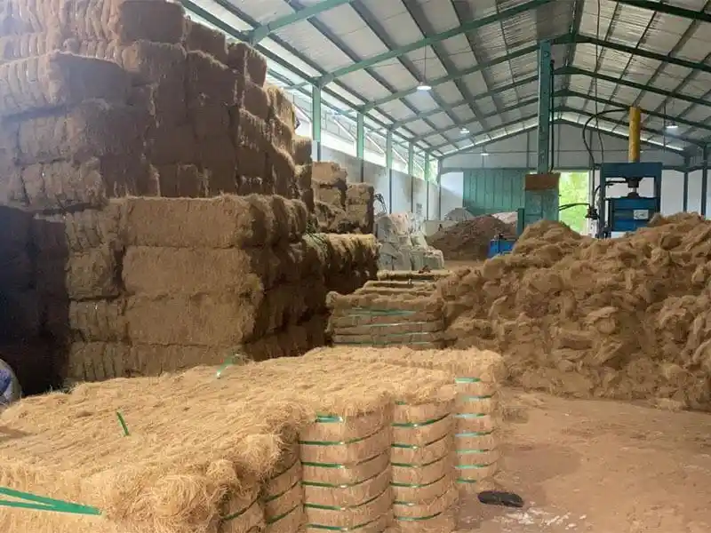 penampung sabut kelapa