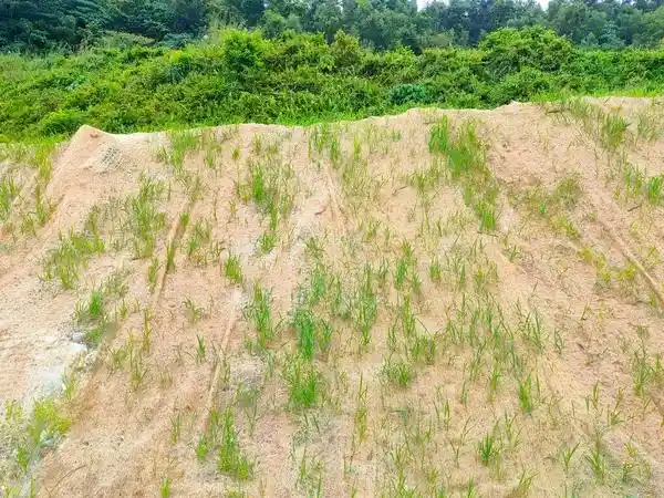 teknik mengurangi erosi pada tanah terbuka