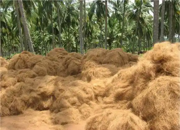 bahan sabut kelapa
